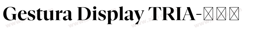 Gestura Display TRIA字体转换 Gestura Display TRIA字体转换